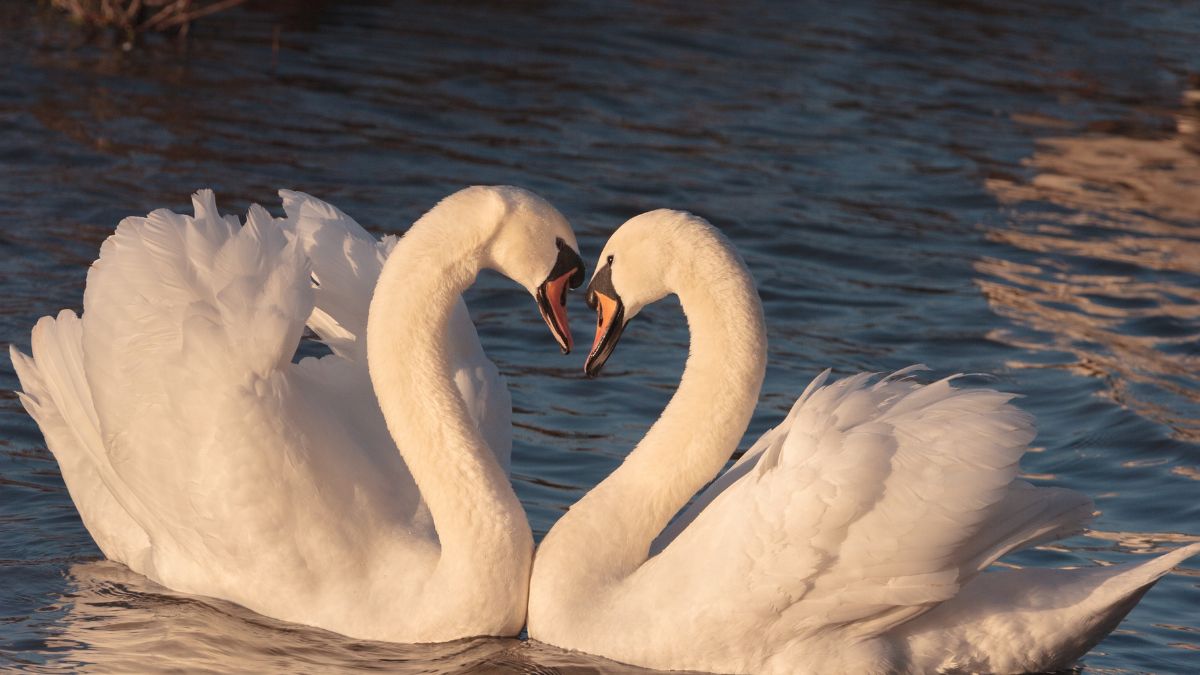 Chân trọng những gì mình có