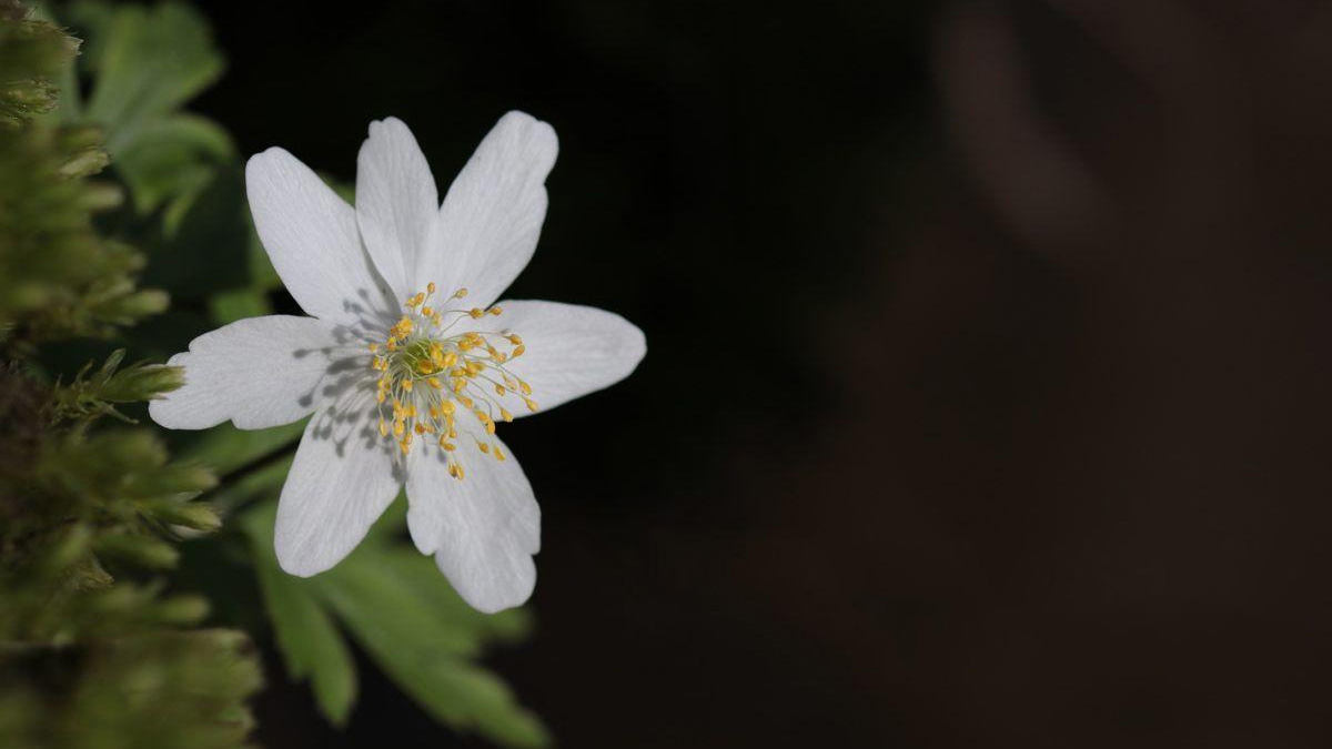 Những câu nói hay.