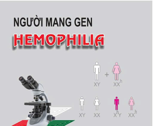 Tài liệu tư vấn: Người mang gen hemophilia